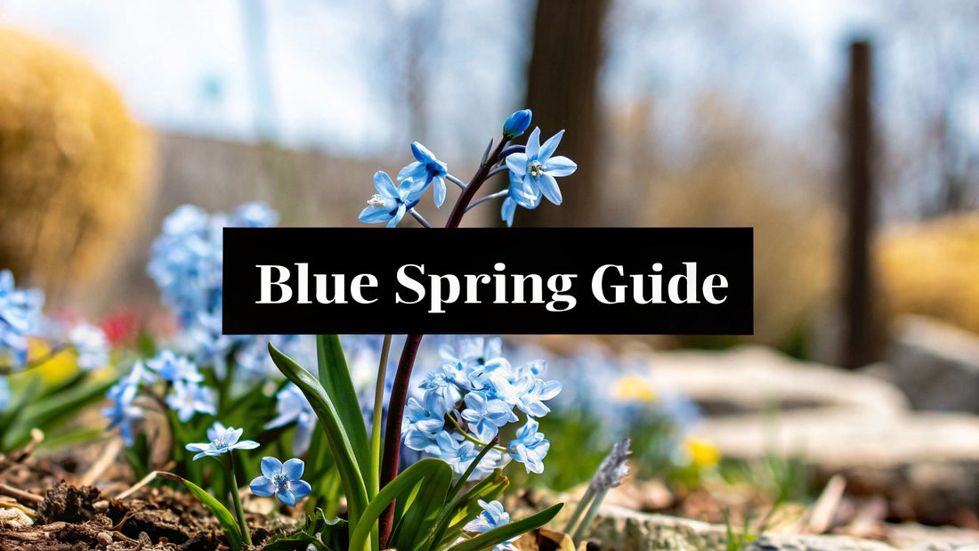 Your Guide to Fleurs Bleus Printemps