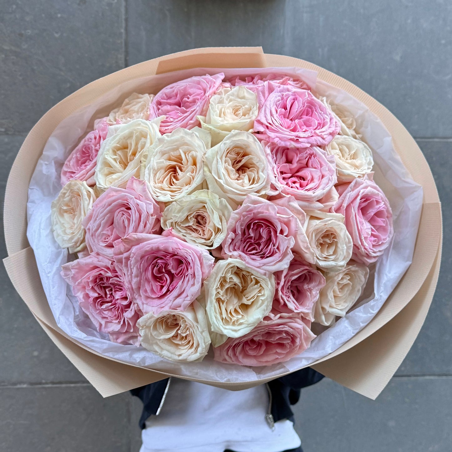 25 O'Hara rose x blanc