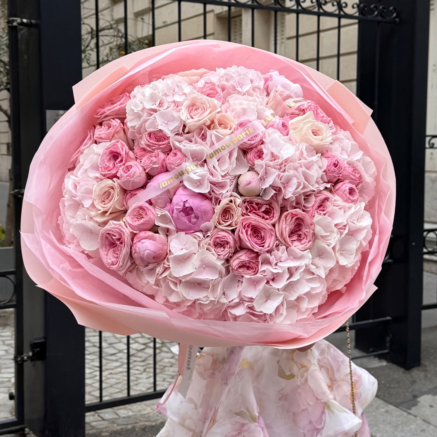 Pink Dream L