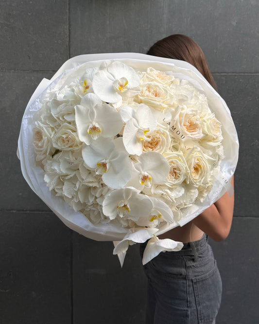 Nuage d’Orchidée Blanc L