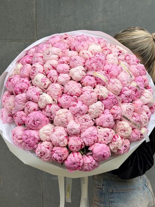 101 pivoines roses