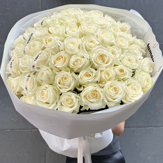 51 White Classic Roses