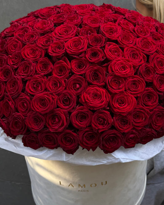 201 Red Roses Box XXL