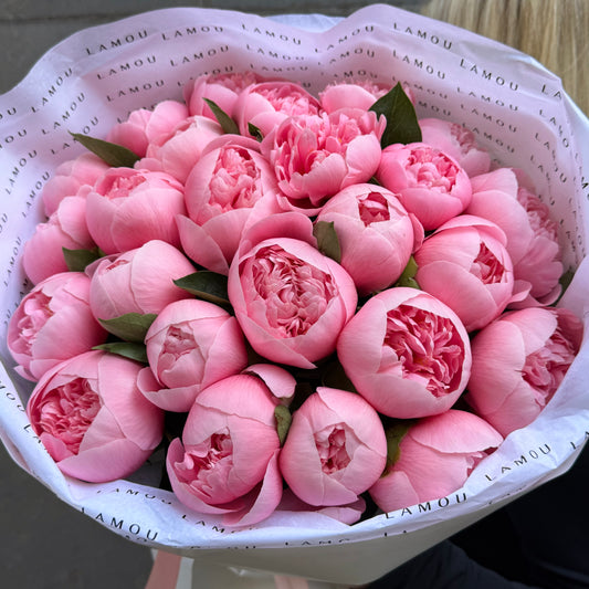 25 Peonies “Etched Salmon”