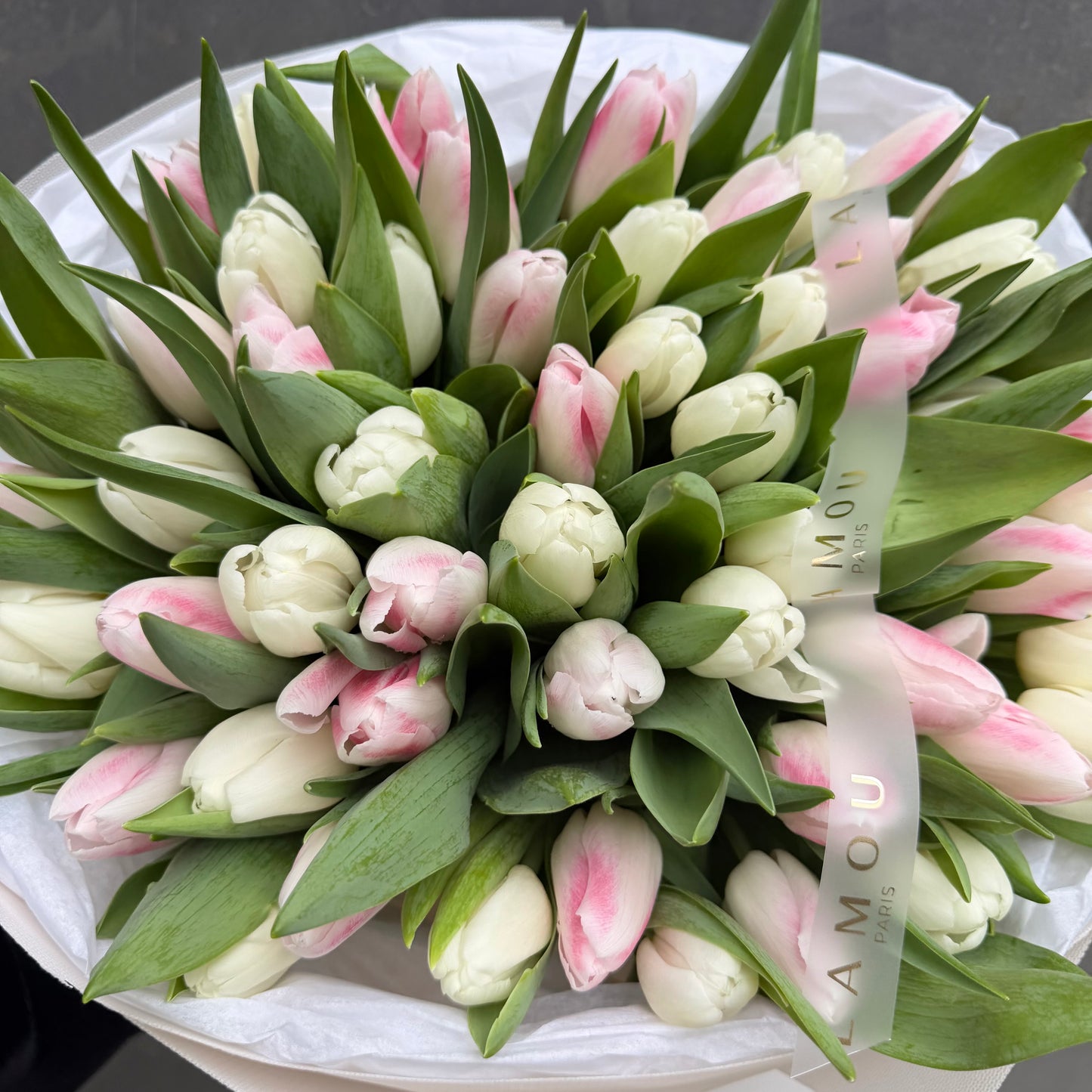 Tulipes blanches et roses