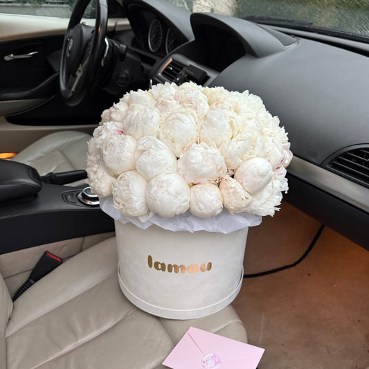 75 White Peonies Box