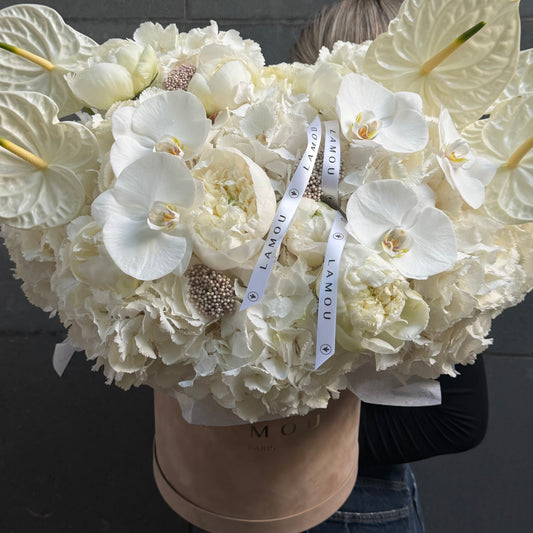 White Elegance Box L