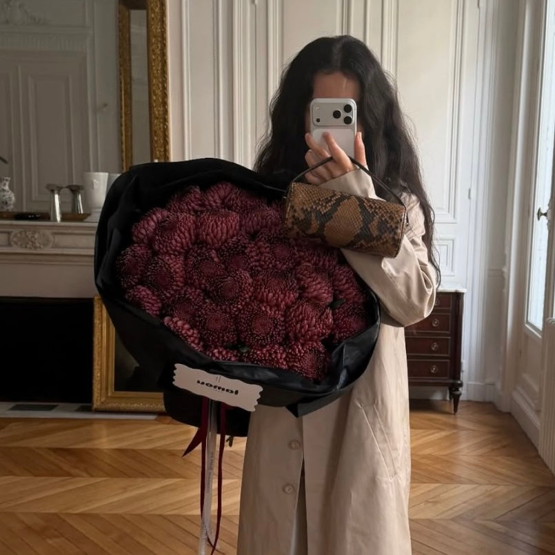 Chrysanthemum Premium Red