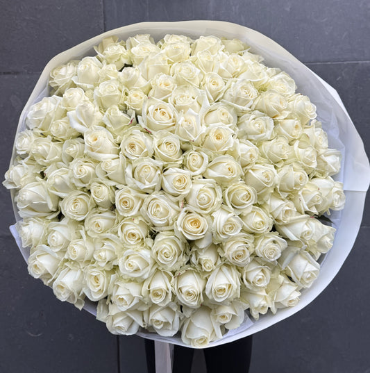 101 White Roses