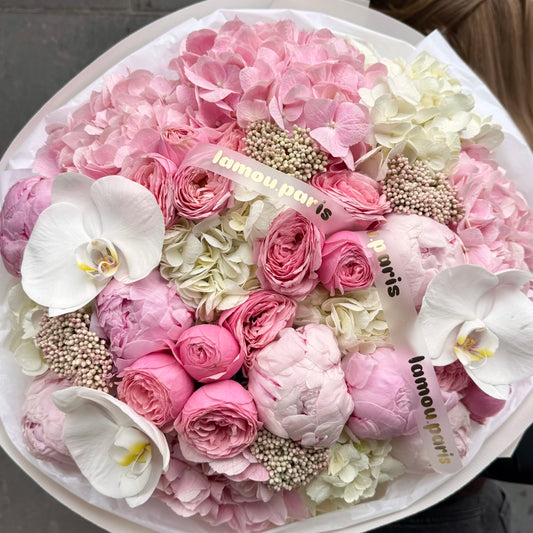 White x Pink Cloud M