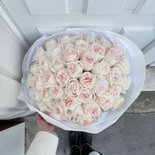 45+ White O'Hara Roses