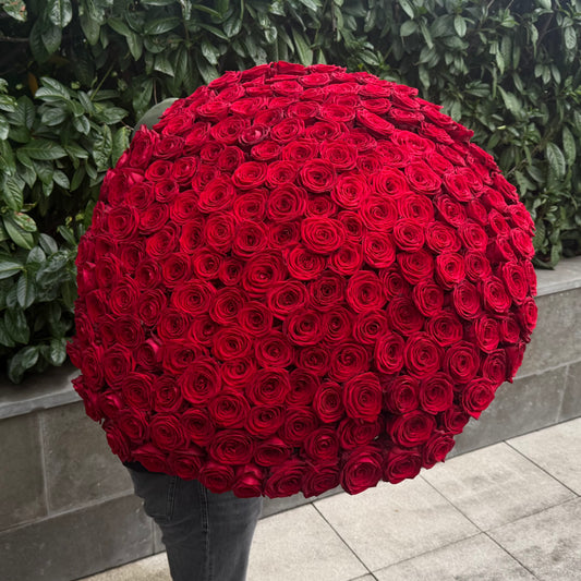 201 Red Roses