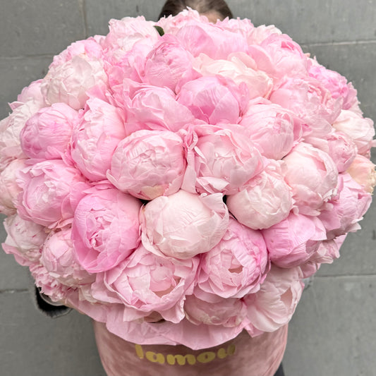75 Pink Peonies Box