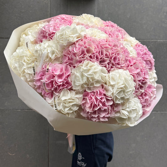 Le paradis des hortensias
