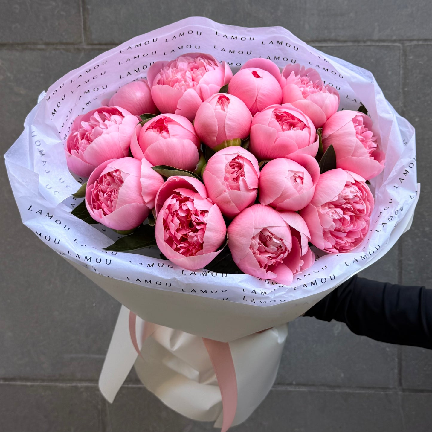 15 Peonies “Etched Salmon”