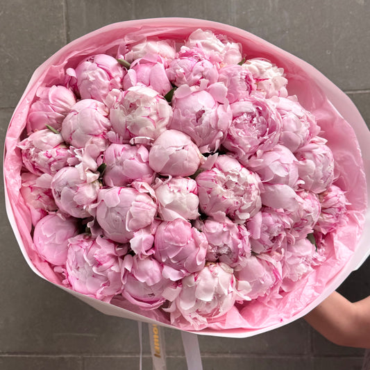 51 Pink Peonies