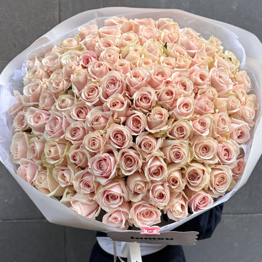 101 roses rose blush