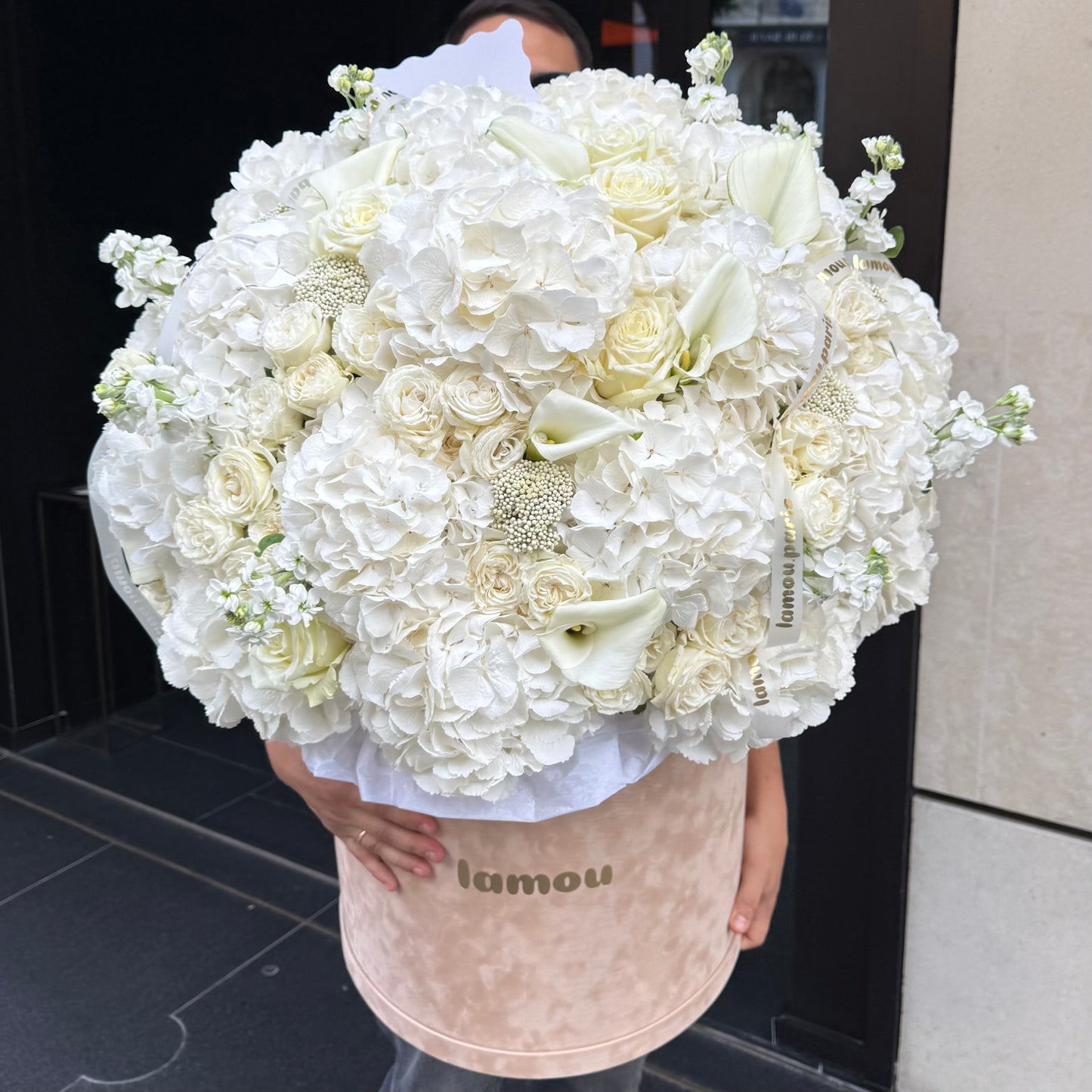 White Elegance in a Velvet Box XL