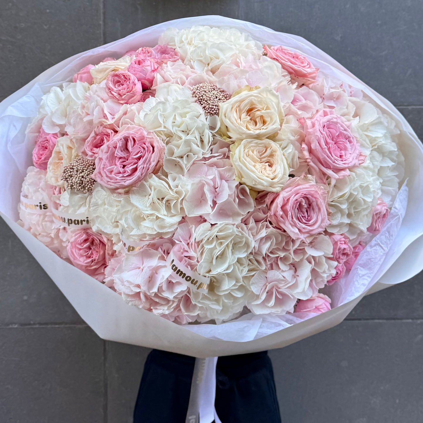 White & Pink Cloud L