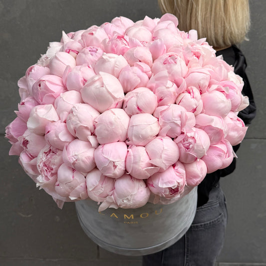 101 Pink Peonies Box XL