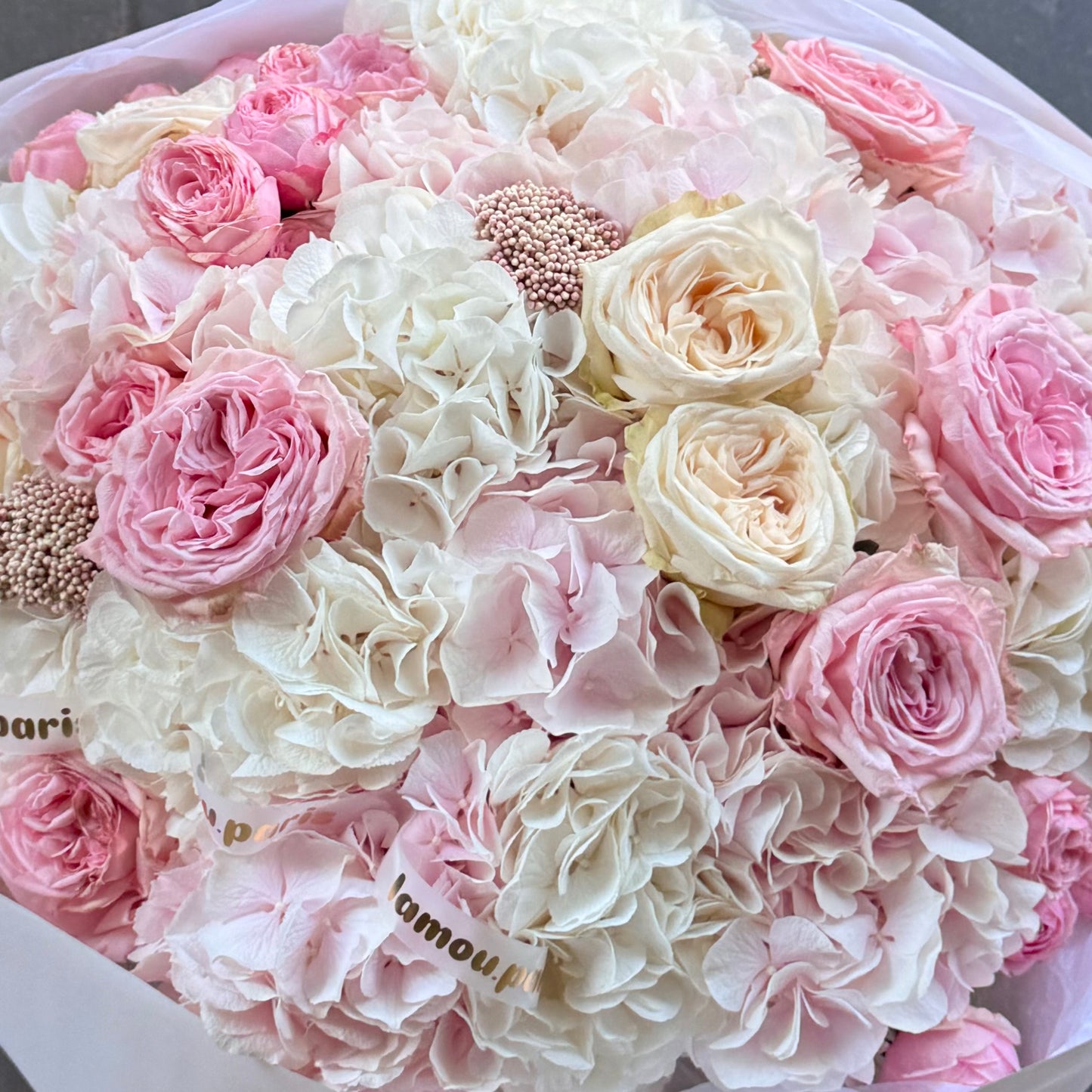 White & Pink Cloud L