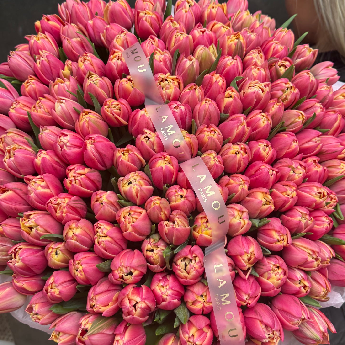 Panier Tulip Columbus XL 201