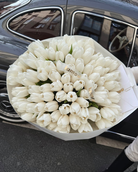 100 White Tulip
