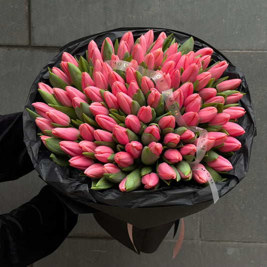 100 Pink Tulip