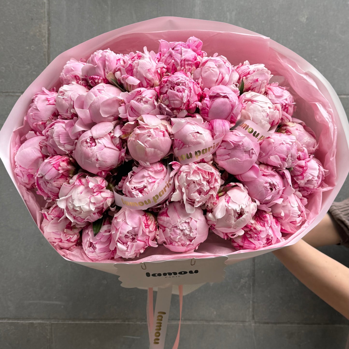 35 pivoines roses