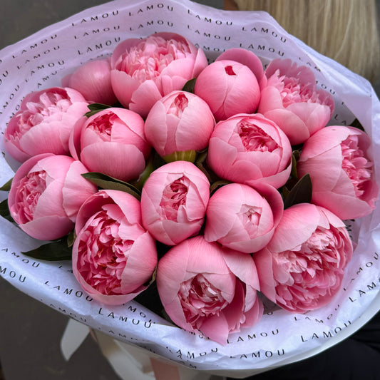 15 Peonies “Etched Salmon”