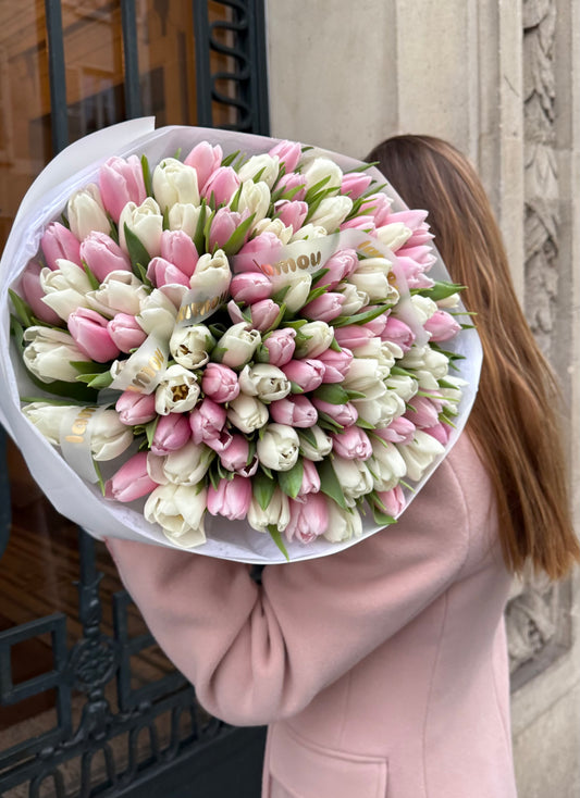 100 Pink x White tulips