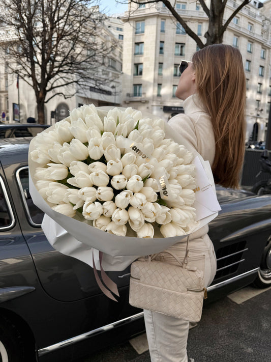 100 White Tulip