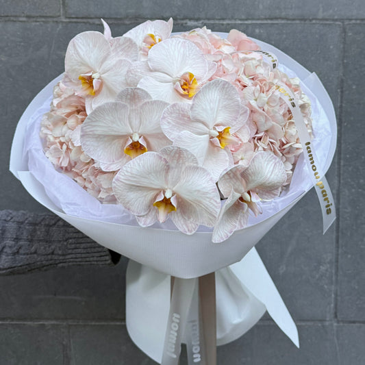 Nuage d’Orchidée Rose S