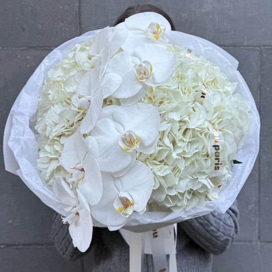 Nuage d’Orchidée Blanc S