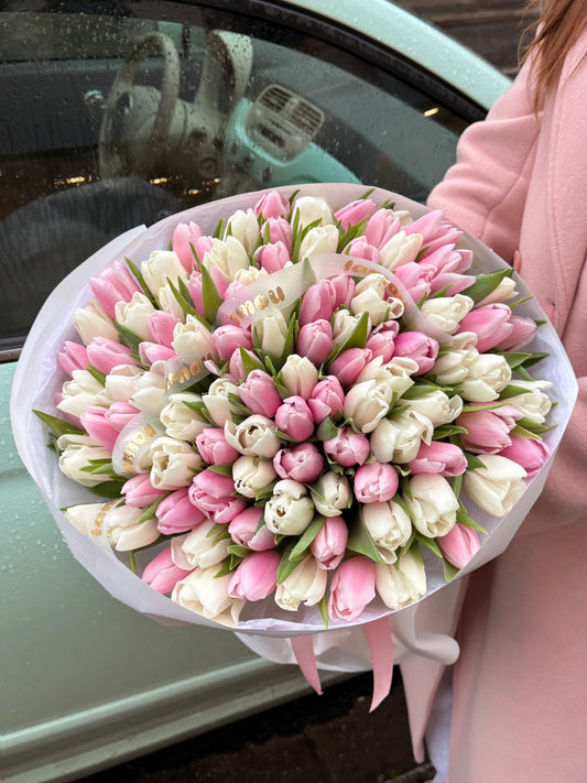 100 Pink x White tulips