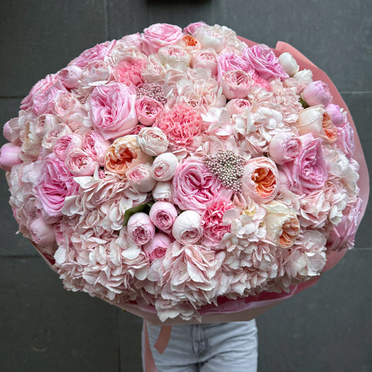 Pink Cloud XL