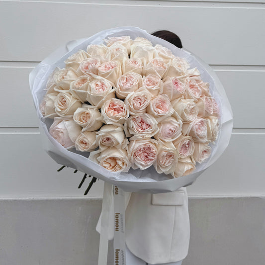 45+ White O'Hara Roses