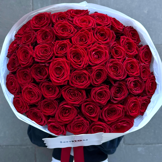 51 roses rouges