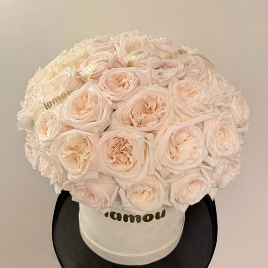 Boîte de 51 roses pivoines blanches M
