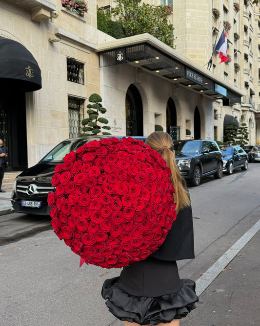 151 Red Roses