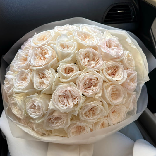 30+ White O'Hara