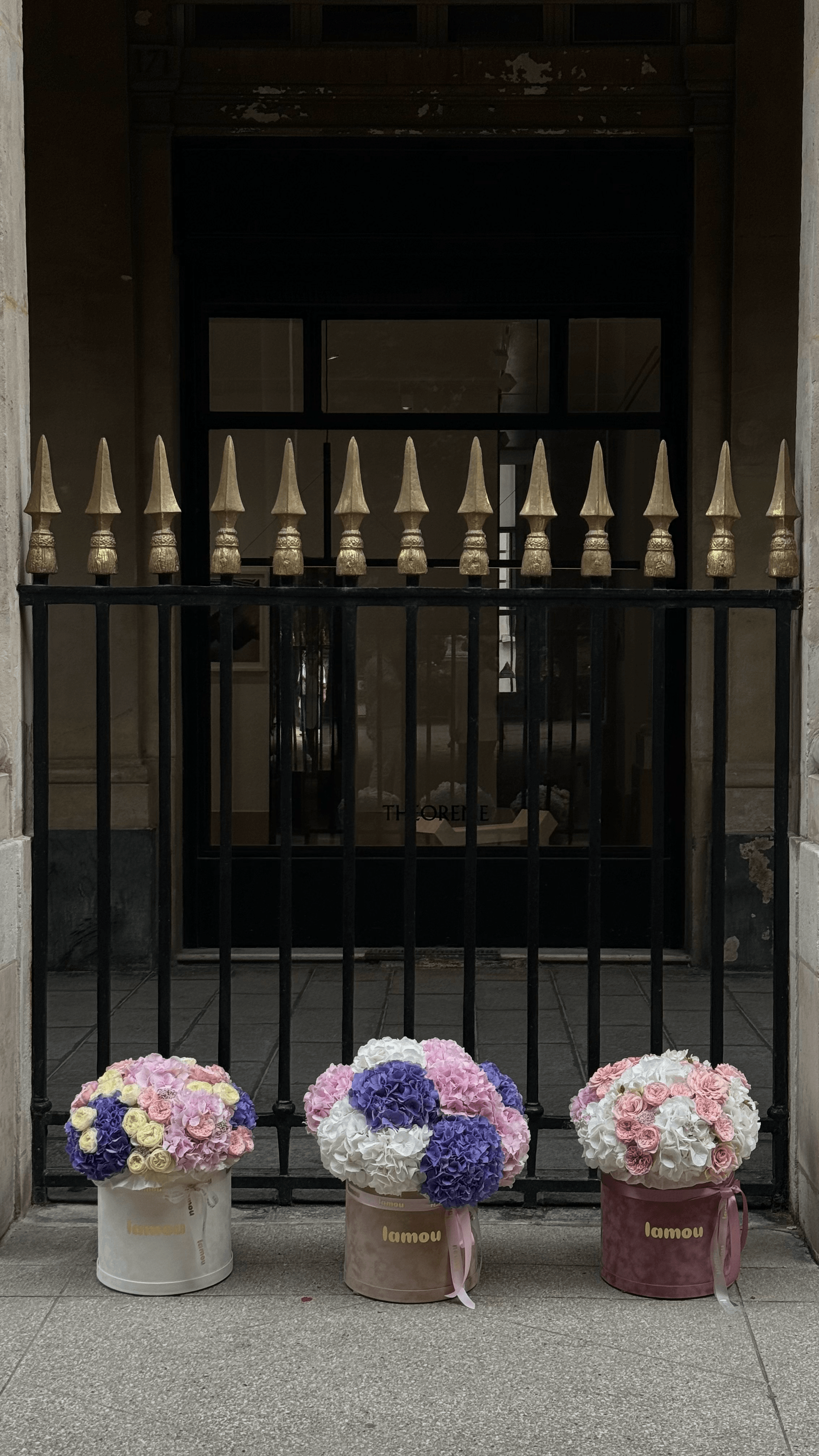 white, pink and beige lamou flower boxes in a garden