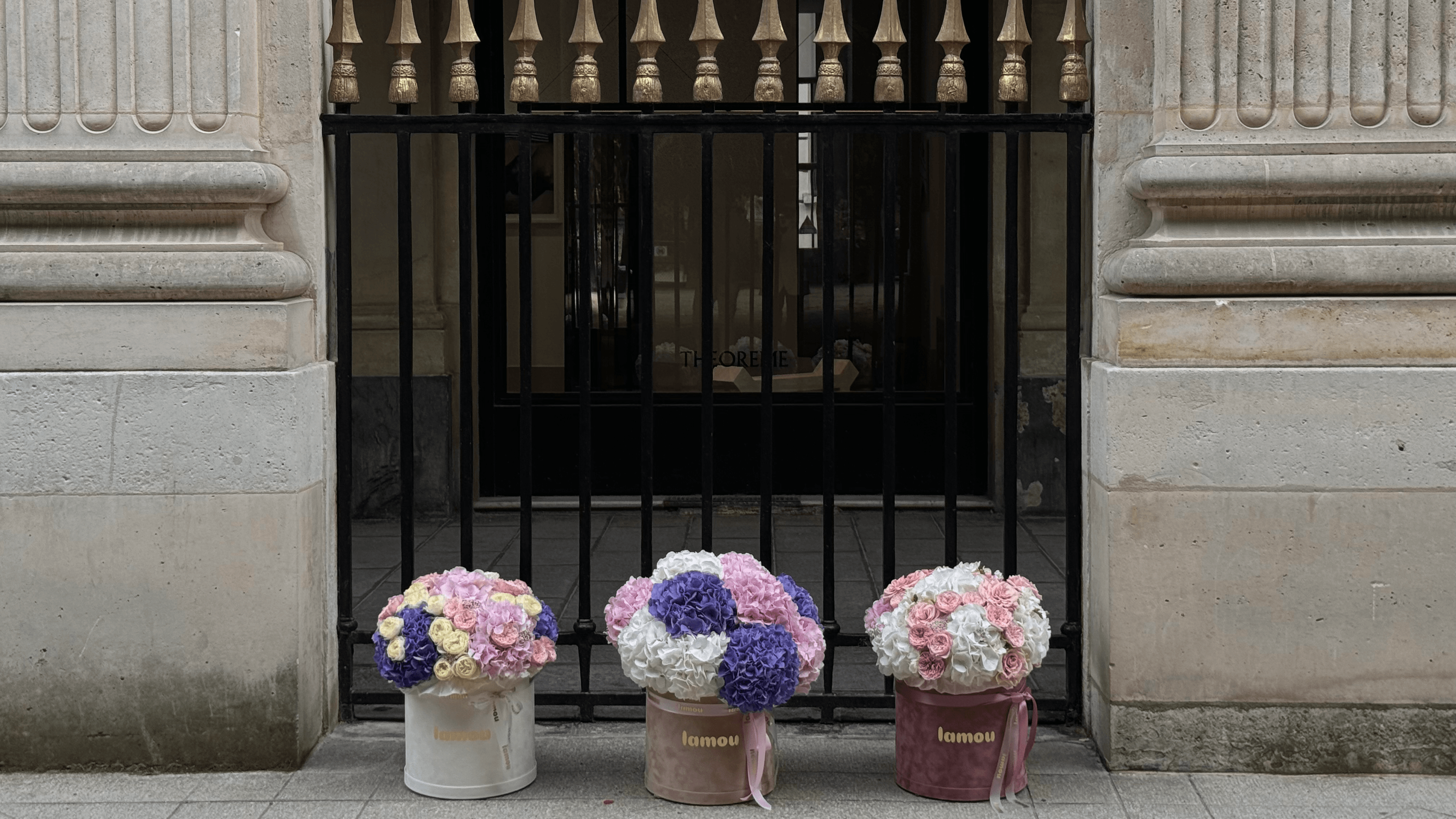 white, pink and beige lamou flower boxes in a garden