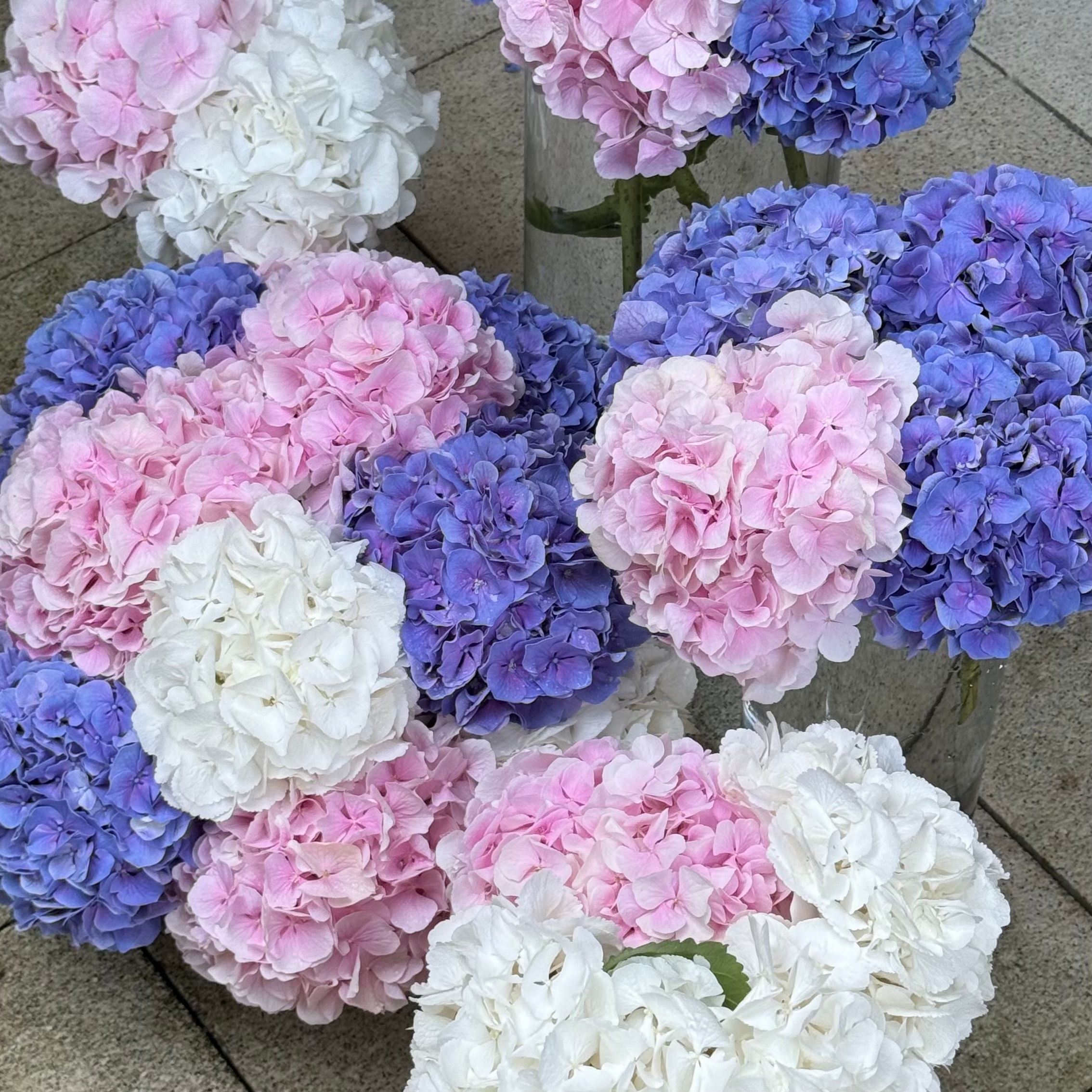 Picture of flowers in vases