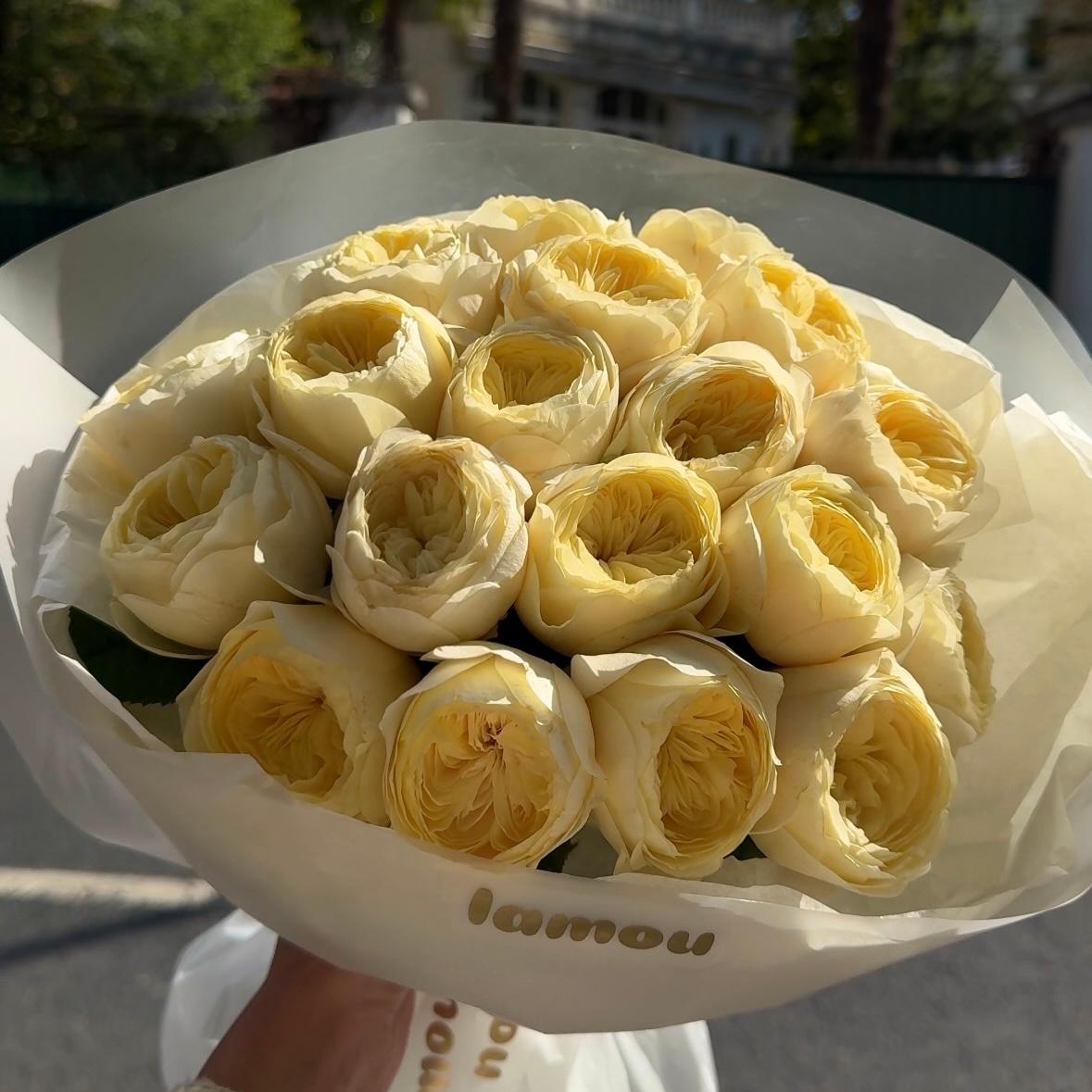 Lemon Sorbet of peony roses