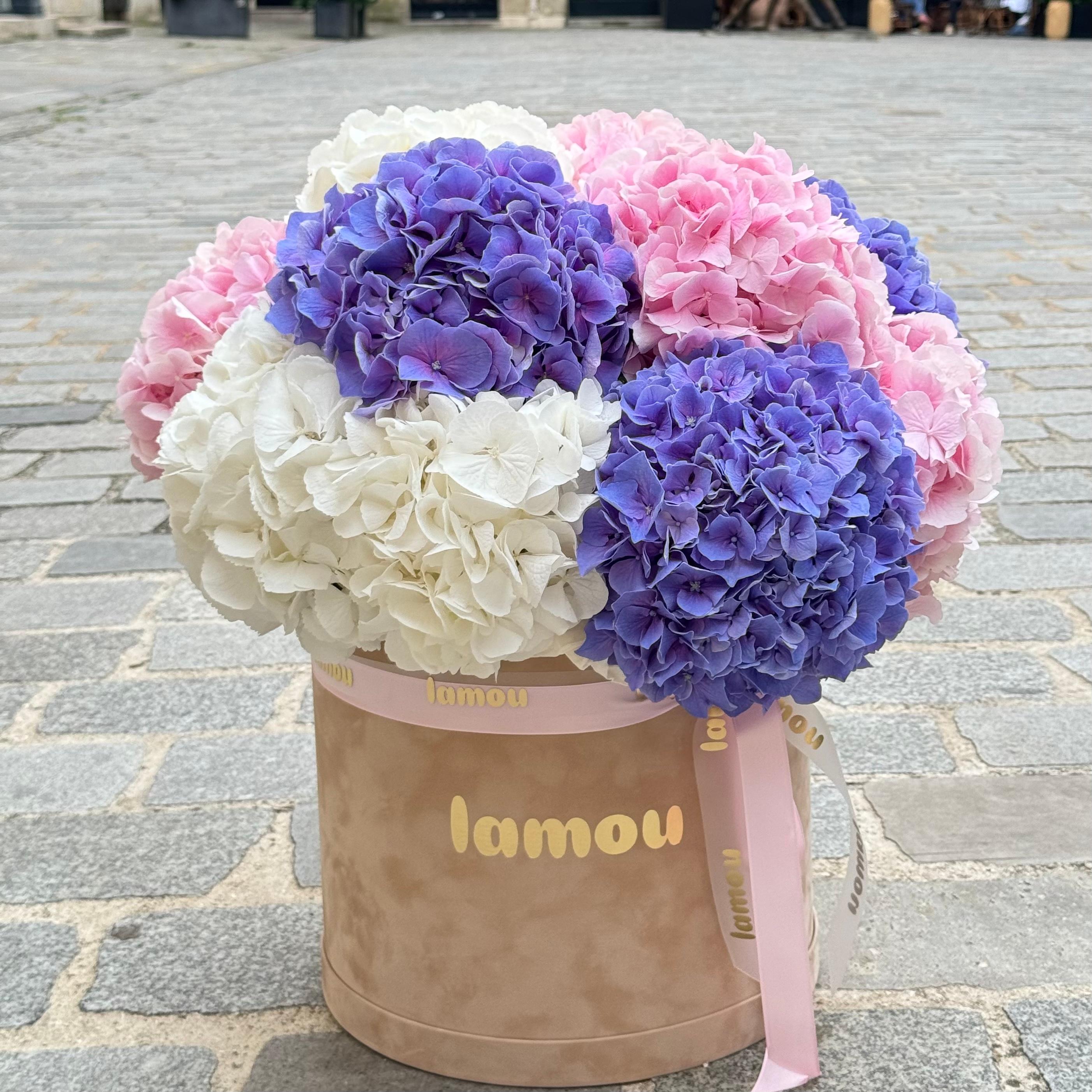 Hortensias in a beige box