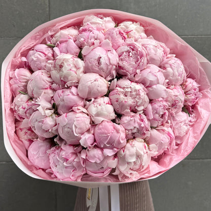 51 Pink Peonies