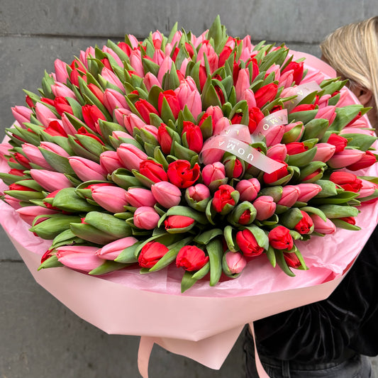 201 Red and Pink tulips