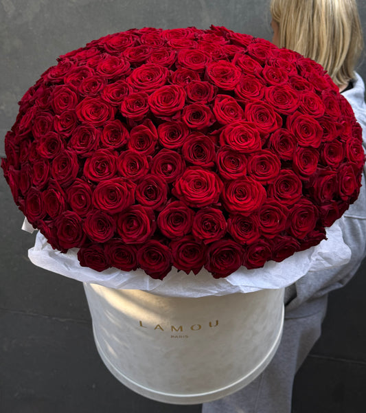 201 Red Roses Box XXL
