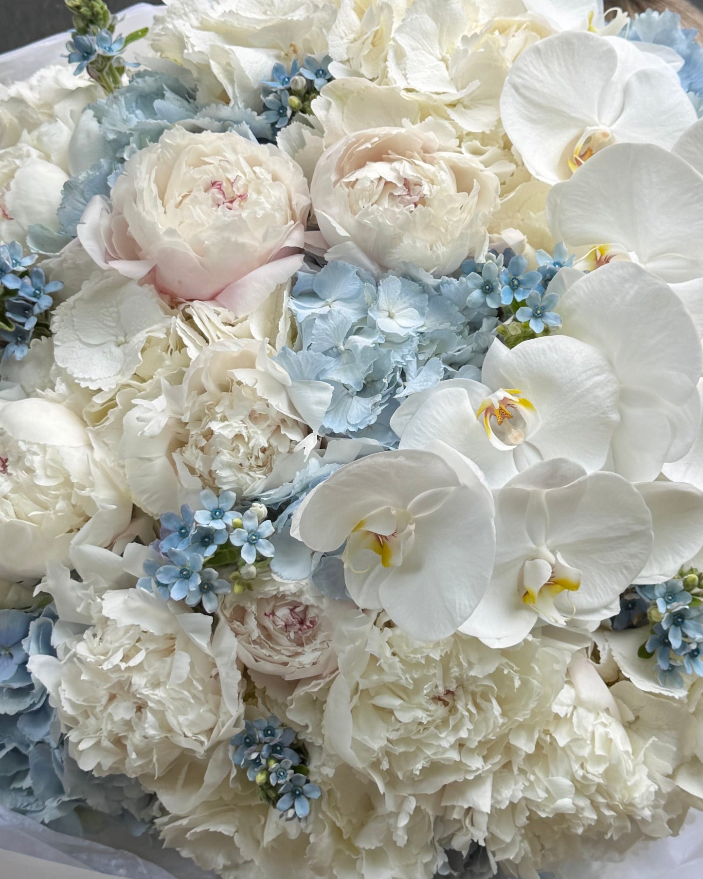 White x Blue Cloud XXL